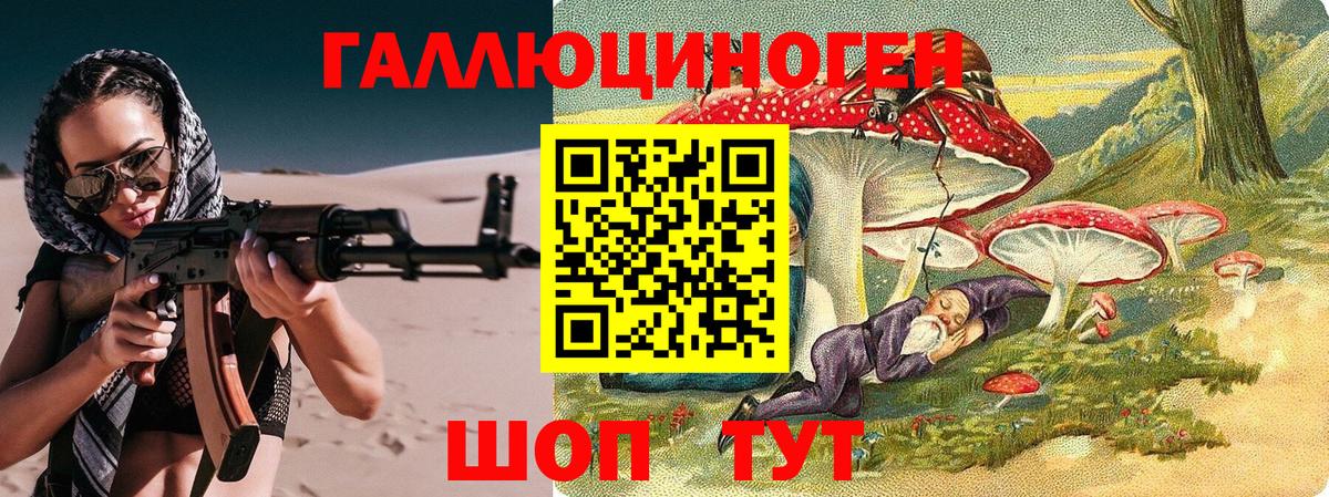 Галлюциногенные грибы Psilocybe Новокубанск