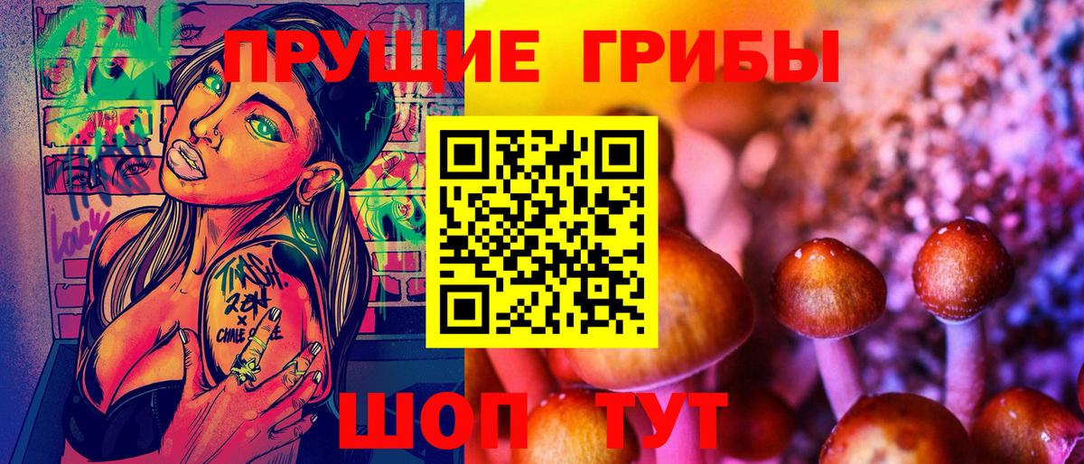 Галлюциногенные грибы Psilocybine cubensis  Вход с VPN  Псилоцибиновые грибы мухоморы  Новокубанск 
