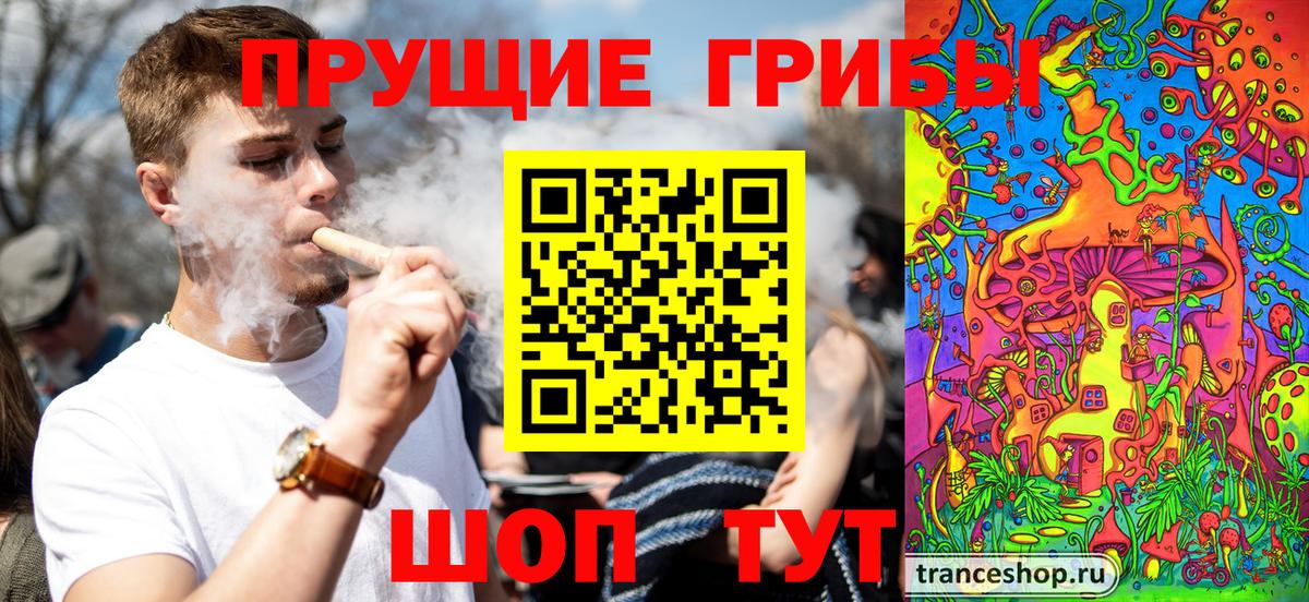 Канабис Новокубанск